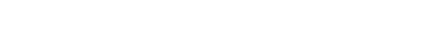 서울페이스영문로고